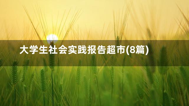大学生社会实践报告超市(8篇)