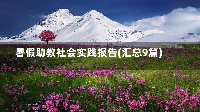 暑假助教社会实践报告(汇总9篇)