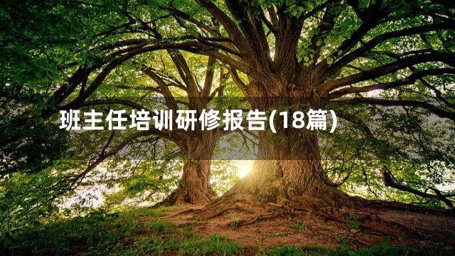 班主任培训研修报告(18篇)