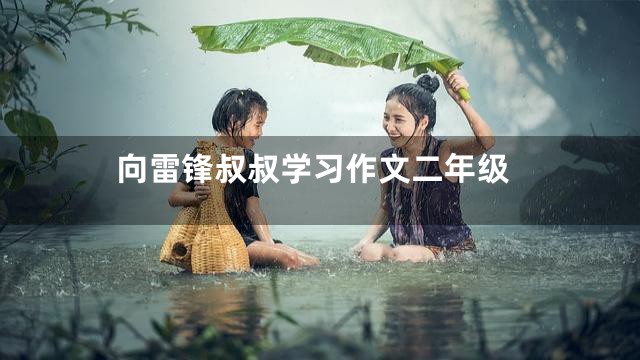 向雷锋叔叔学习作文二年级