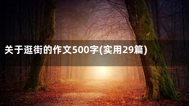 关于逛街的作文500字(实用29篇)