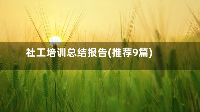 社工培训总结报告(推荐9篇)