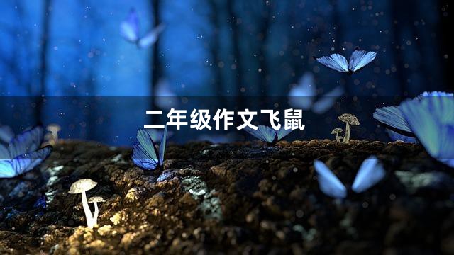 二年级作文飞鼠