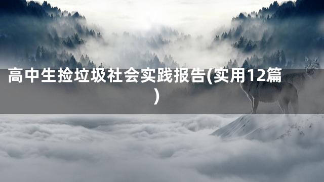 高中生捡垃圾社会实践报告(实用12篇)