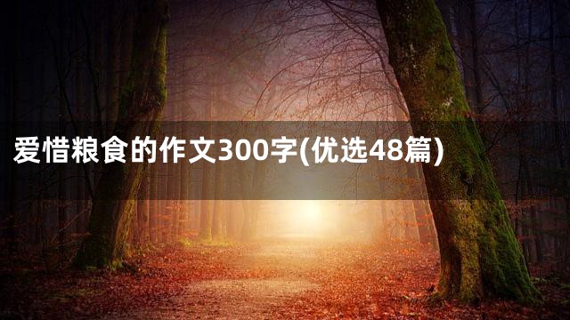爱惜粮食的作文300字(优选48篇)