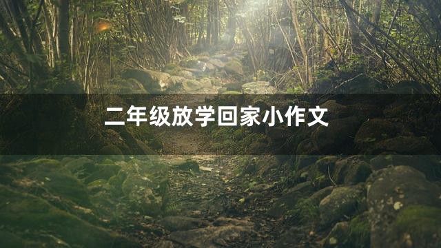 二年级放学回家小作文