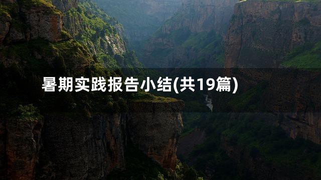 暑期实践报告小结(共19篇)