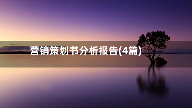 营销策划书分析报告(4篇)