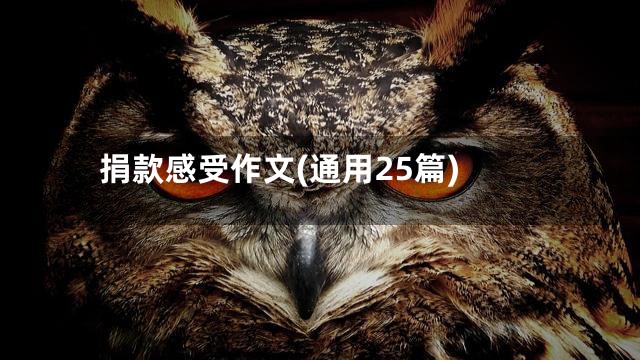 捐款感受作文(通用25篇)