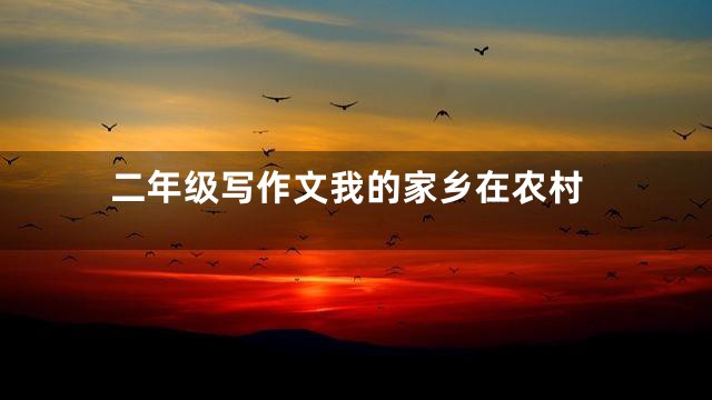 二年级写作文我的家乡在农村
