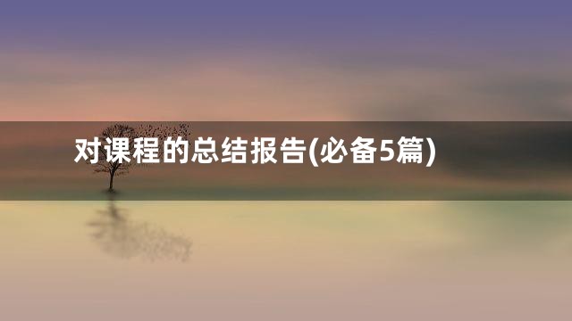 对课程的总结报告(必备5篇)