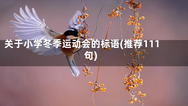 关于小学冬季运动会的标语(推荐111句)