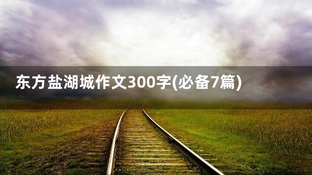 东方盐湖城作文300字(必备7篇)