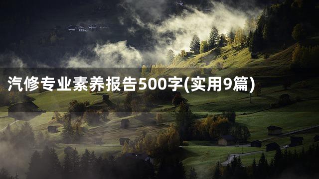 汽修专业素养报告500字(实用9篇)