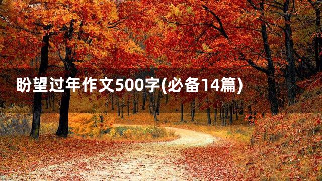 盼望过年作文500字(必备14篇)
