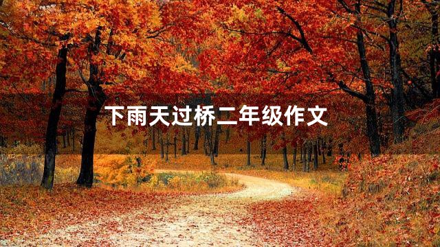 下雨天过桥二年级作文