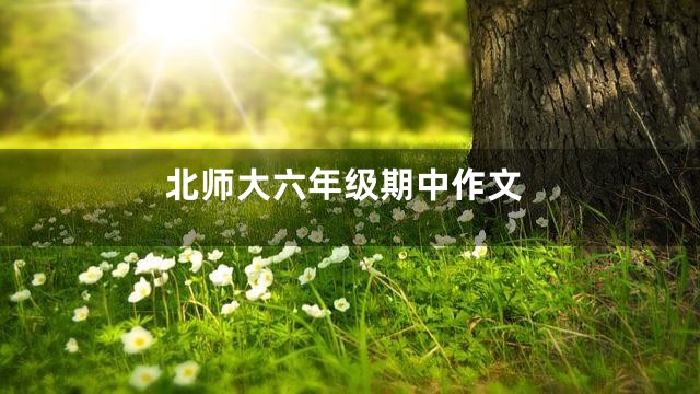 北师大六年级期中作文
