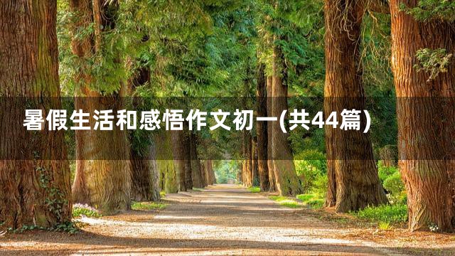暑假生活和感悟作文初一(共44篇)
