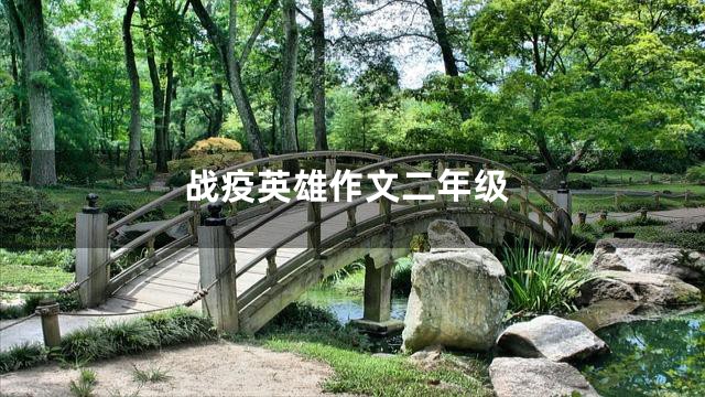 战疫英雄作文二年级