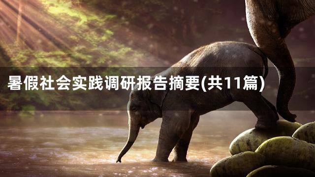 暑假社会实践调研报告摘要(共11篇)