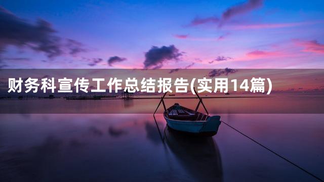 财务科宣传工作总结报告(实用14篇)