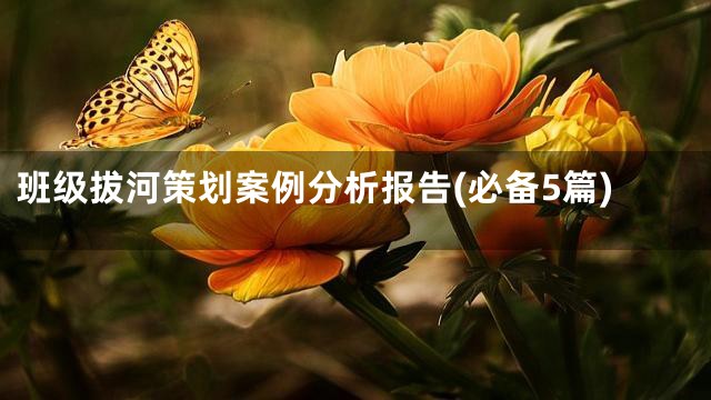 班级拔河策划案例分析报告(必备5篇)