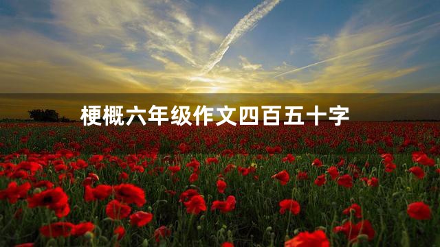 梗概六年级作文四百五十字