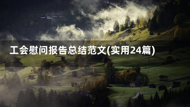 工会慰问报告总结范文(实用24篇)