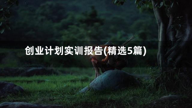创业计划实训报告(精选5篇)