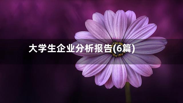 大学生企业分析报告(6篇)