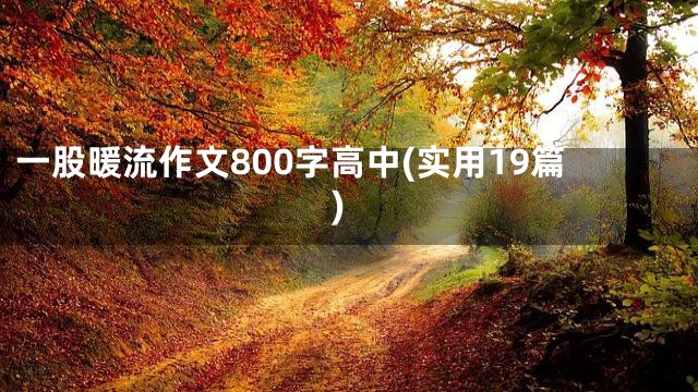 一股暖流作文800字高中(实用19篇)
