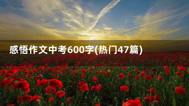 感悟作文中考600字(热门47篇)