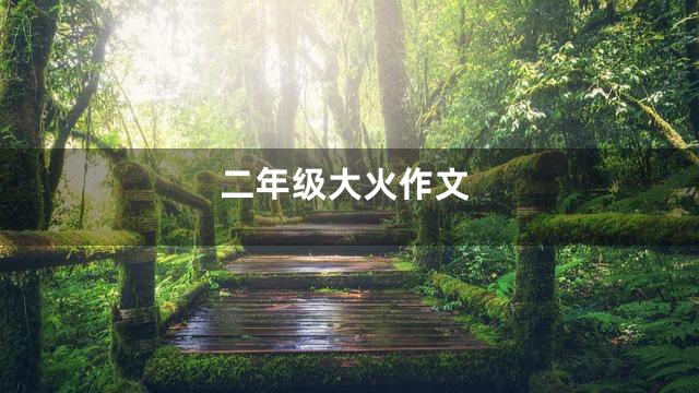 二年级大火作文