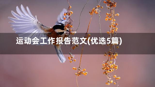 运动会工作报告范文(优选5篇)