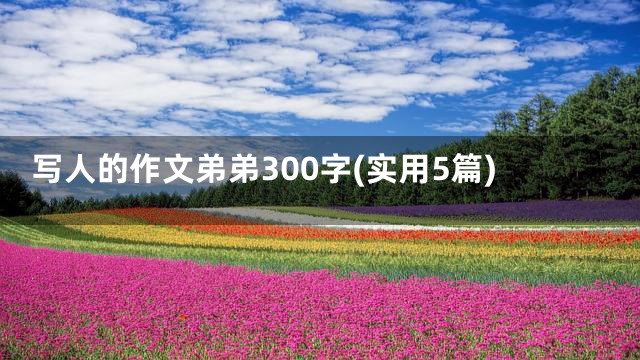 写人的作文弟弟300字(实用5篇)