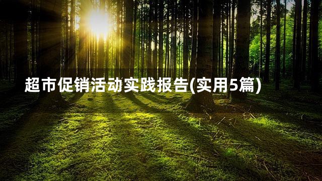 超市促销活动实践报告(实用5篇)