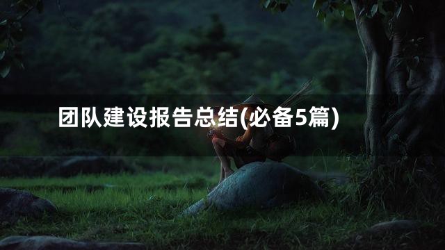 团队建设报告总结(必备5篇)