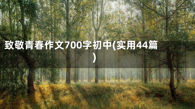 致敬青春作文700字初中(实用44篇)
