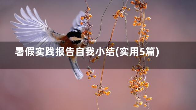 暑假实践报告自我小结(实用5篇)