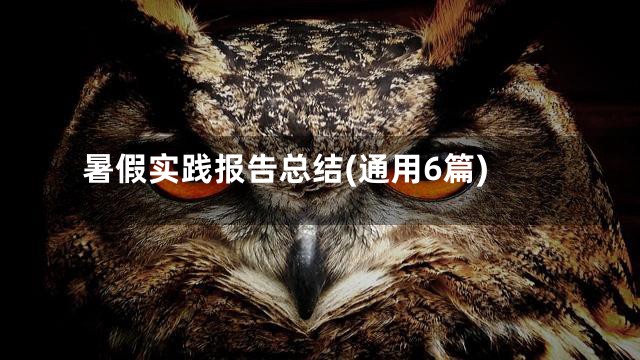 暑假实践报告总结(通用6篇)