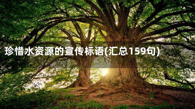 珍惜水资源的宣传标语(汇总159句)