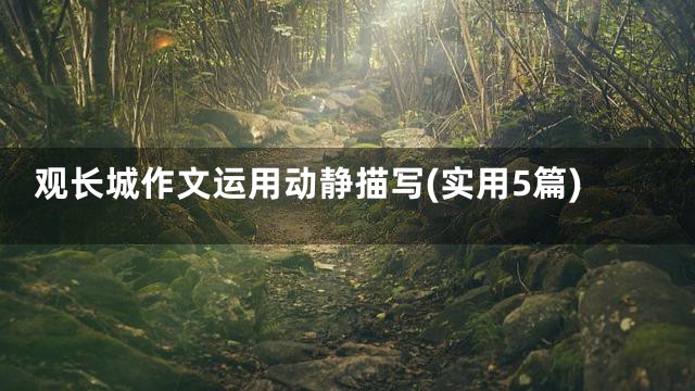 观长城作文运用动静描写(实用5篇)