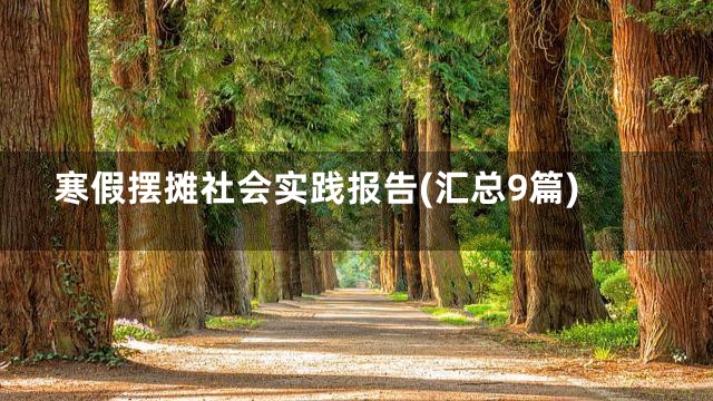寒假摆摊社会实践报告(汇总9篇)