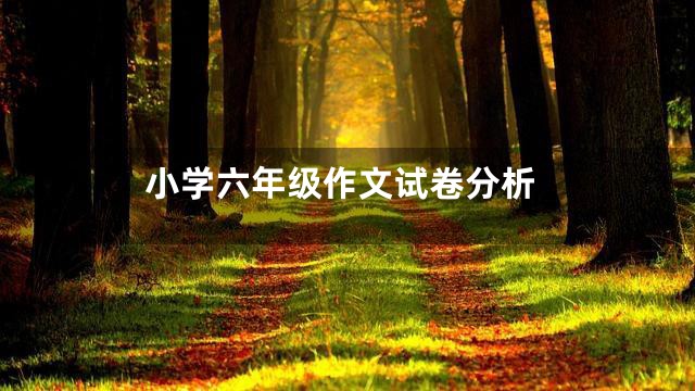 小学六年级作文试卷分析