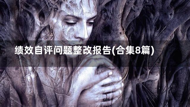 绩效自评问题整改报告(合集8篇)