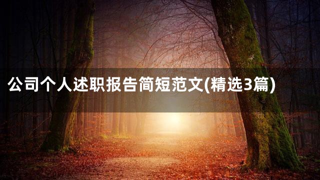 公司个人述职报告简短范文(精选3篇)