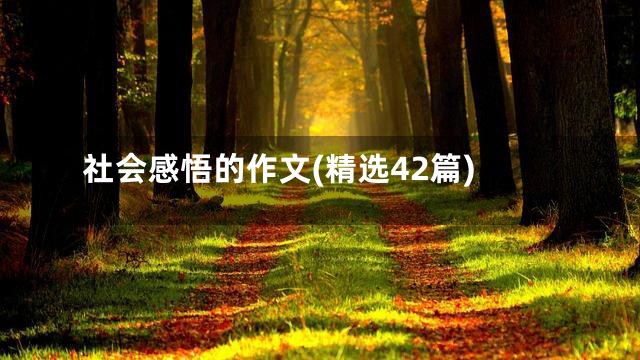 社会感悟的作文(精选42篇)