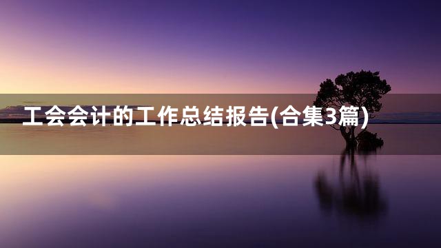 工会会计的工作总结报告(合集3篇)