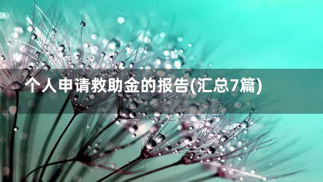 个人申请救助金的报告(汇总7篇)