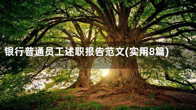 银行普通员工述职报告范文(实用8篇)